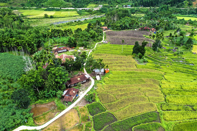 Nguồn: Báo Thanh Niên