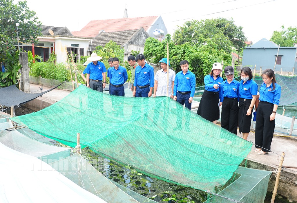Nguồn ảnh: Báo Ninh Bình
