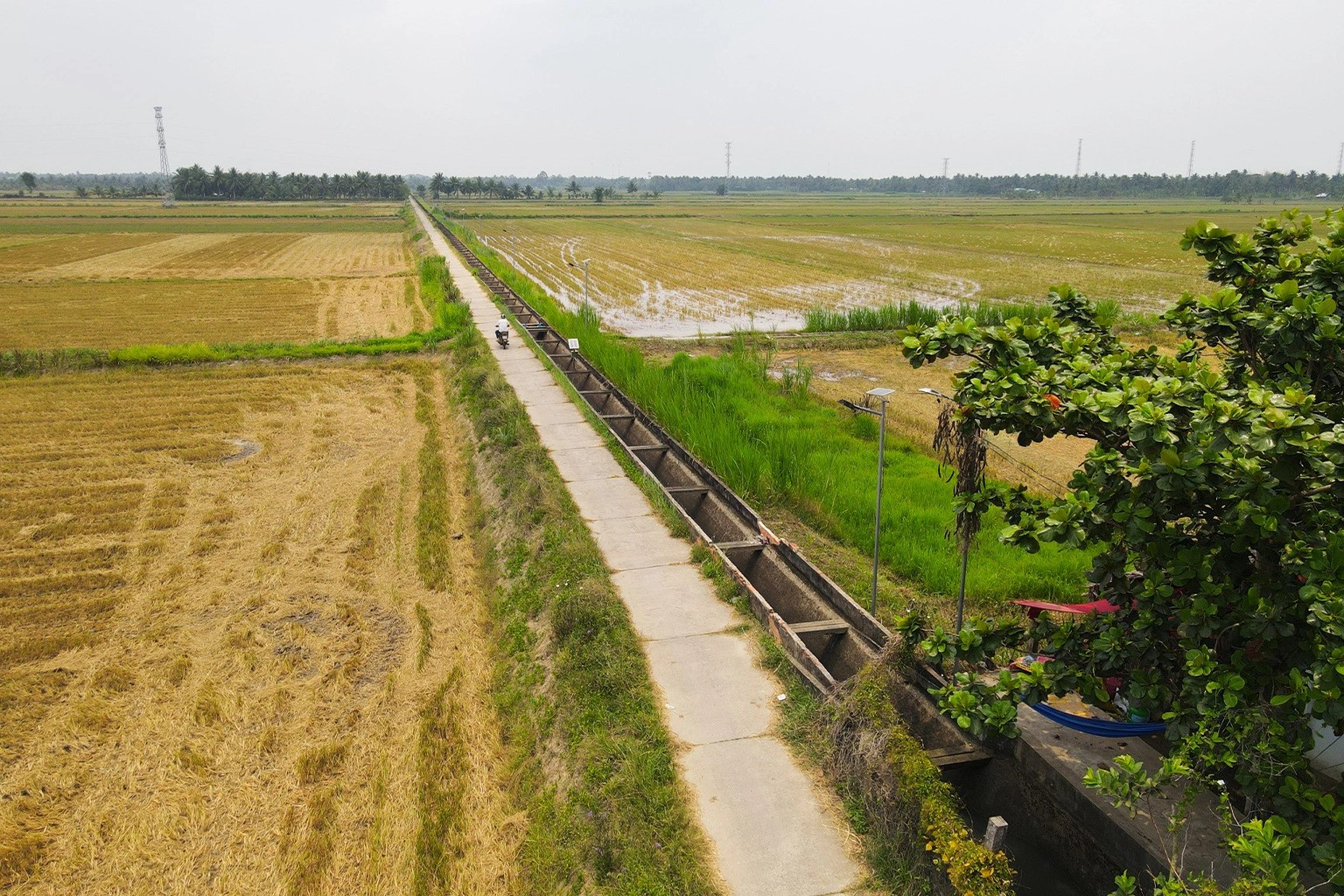 81-2-rice-fields-of-phu-can-cooperative-1-1690284261426244551661-1690334109461-169033410958980006399-1690520683.jpeg