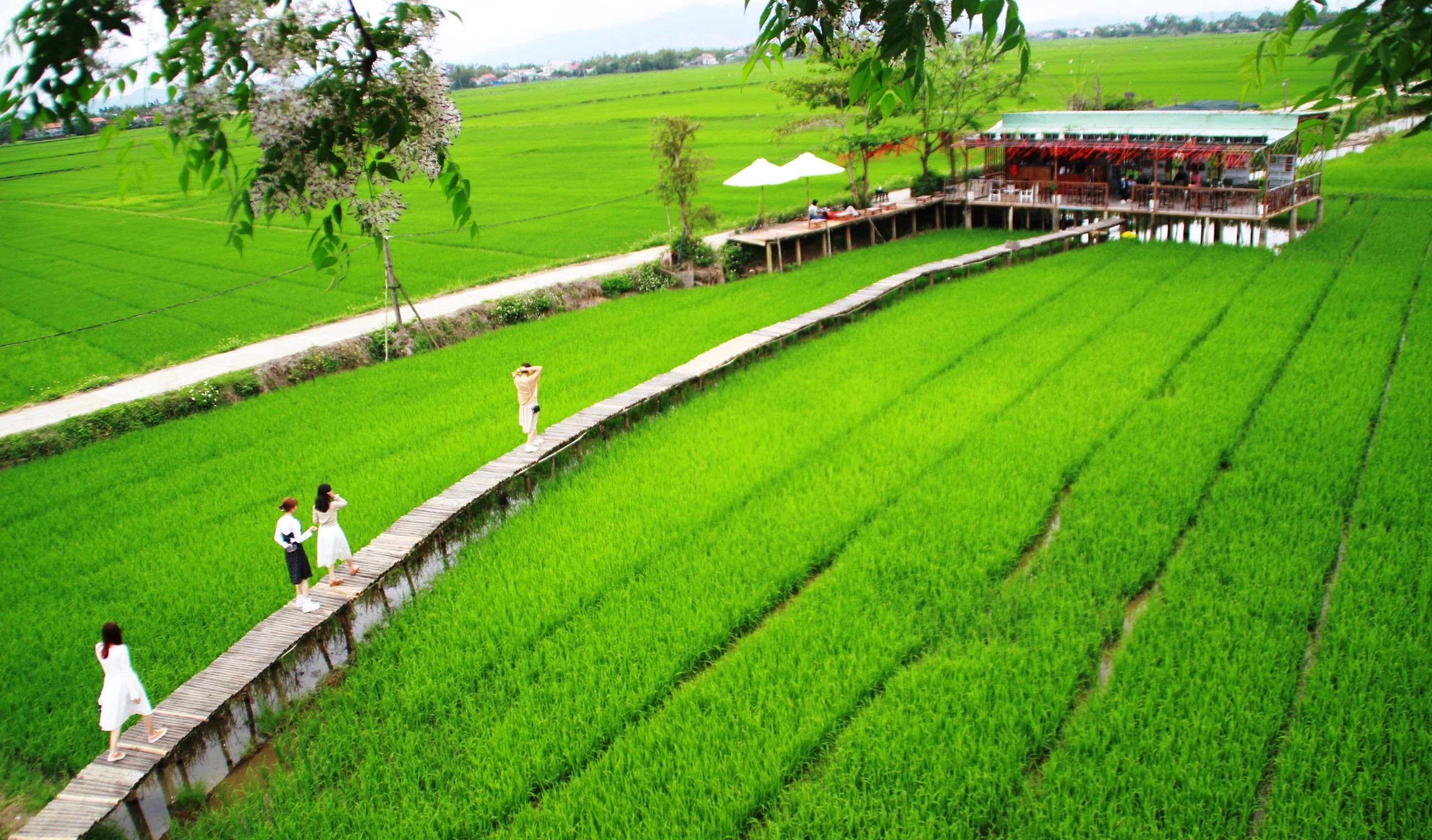 Nguồn ảnh: Báo Thanh Niên