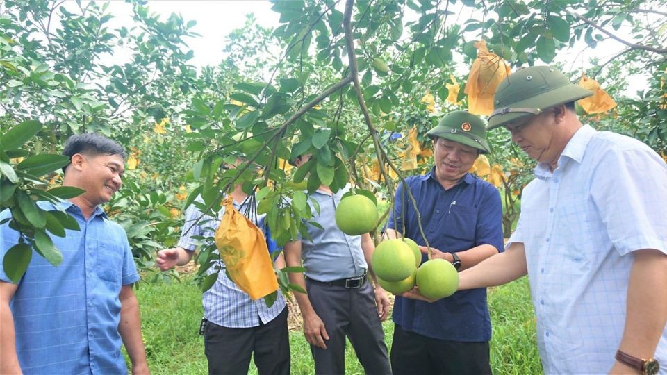 buoi-phuc-trach-2-1694069488.jpg