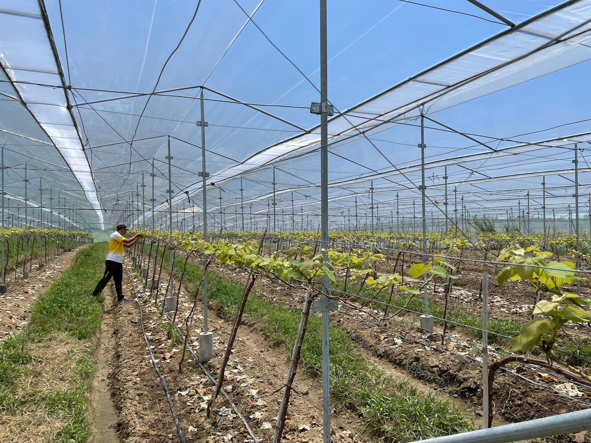 the-moshav-farm-4-1695570980.jpg