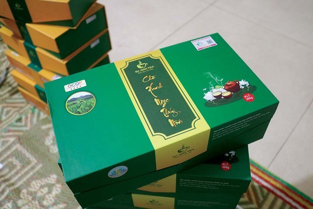 doanh-nhan-nguyen-cong-su-voi-cay-che-tuyen-quang-2-1700584189.jpg