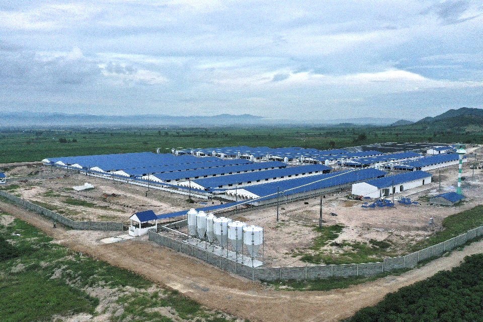 doanh-nhan-hoang-thanh-tung-bo-viec-nghin-do-len-tay-nguyen-lam-trang-trai-1-1704383092.jpg
