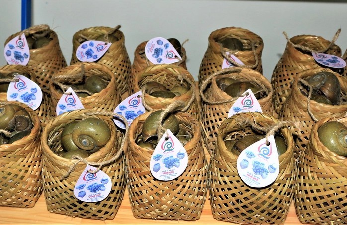 san-pham-oc-ngu-gac-bep-tinh-que-3-1704908943.jpg