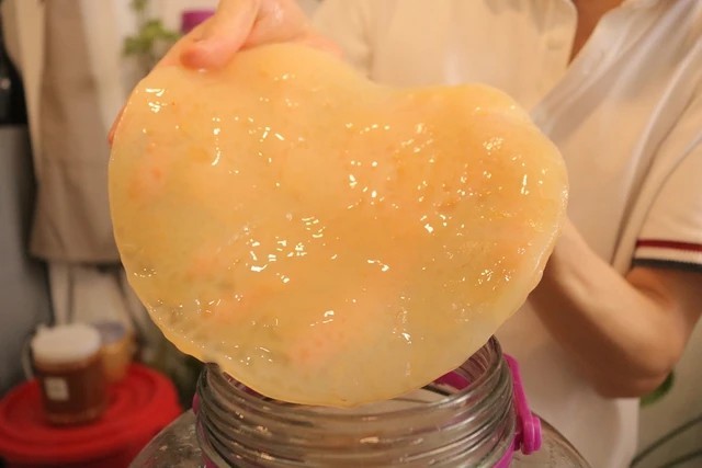 bo-viec-khach-san-5-sao-khoi-nghiep-lam-tra-kombucha-2-1705676619.jpg