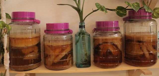 bo-viec-khach-san-5-sao-khoi-nghiep-lam-tra-kombucha-5-1705676619.jpg