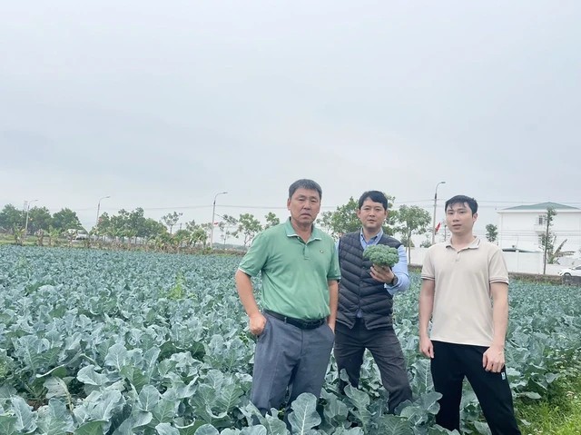 pho-giam-doc-htx-dich-vu-nong-nghiep-chat-luong-cao-hoa-phong-anh-hoang-duc-manh-1-1706623506.jpg