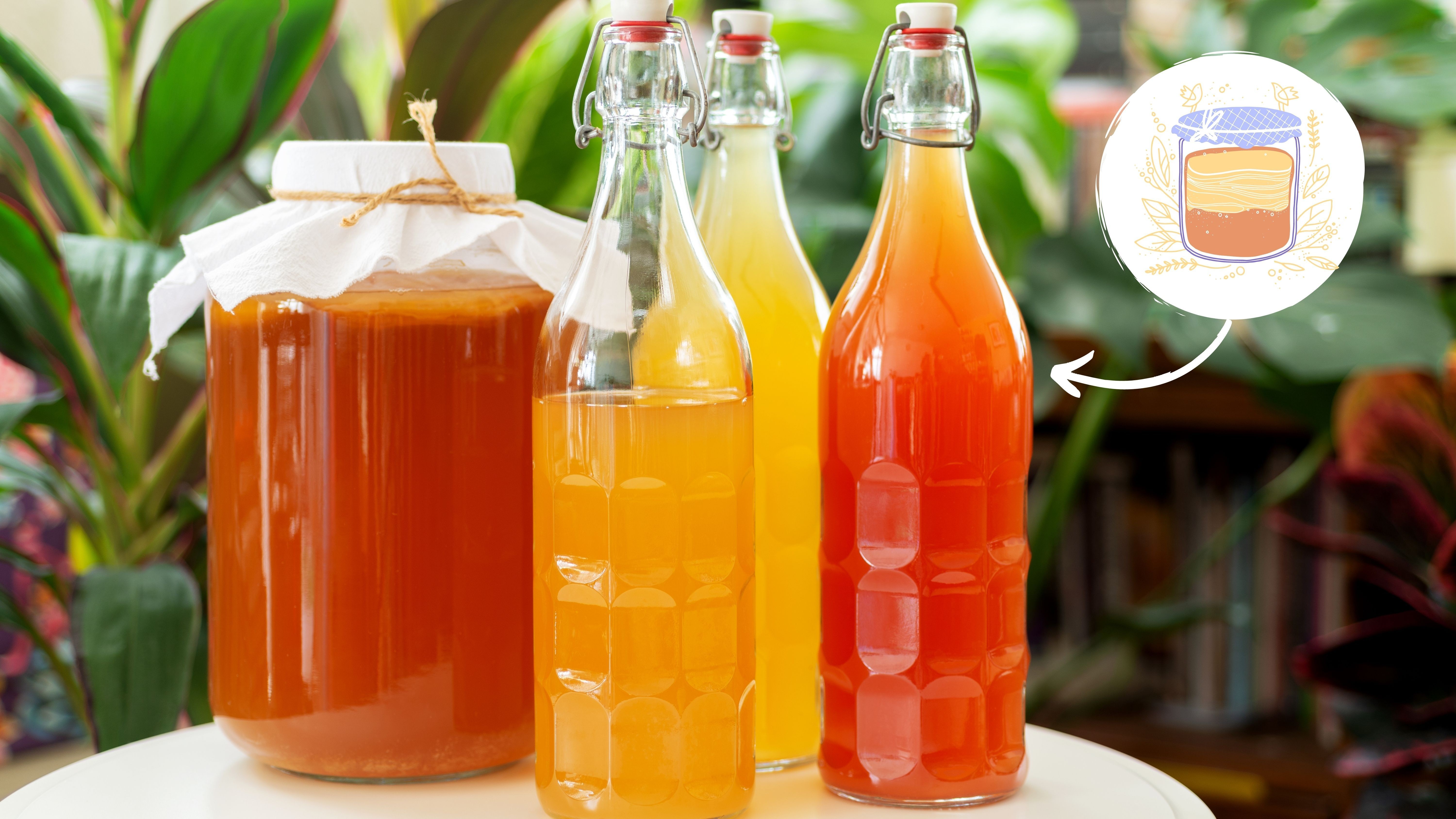 tra-kombucha-1707118573.jpg