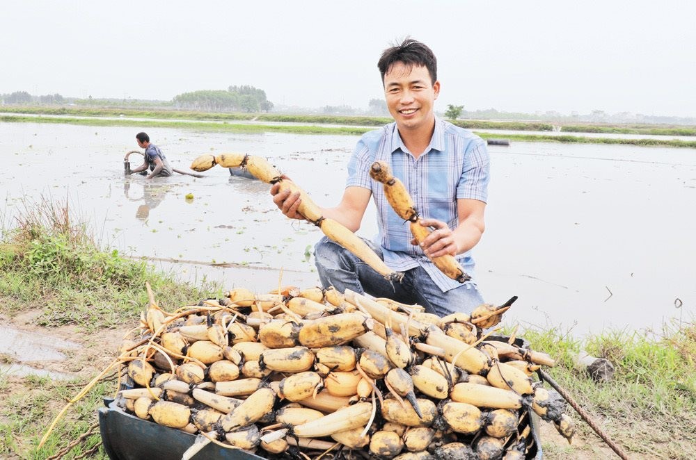 chang-trai-bac-giang-nguyen-van-hoi-khoi-nghiep-trong-sen-1-1707242857.jpg