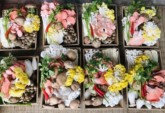 chi-mai-thi-anh-xuan-khoi-nghiep-trong-nam-dep-2-1708265130.jpg