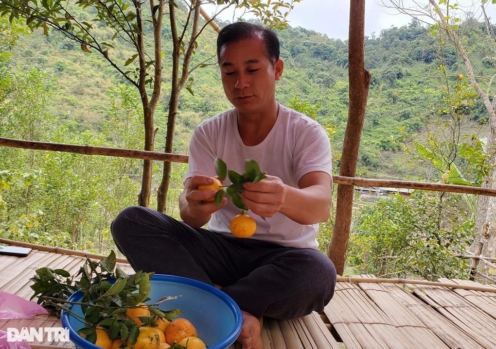 sang-lao-hoc-cach-trong-cam-lam-giau-3-1708358687.jpg