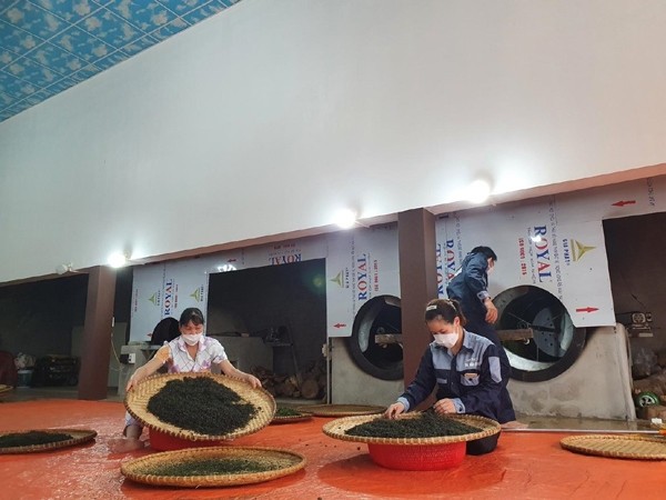 do-thi-hong-nhung-voi-thuong-hieu-tra-van-dung-4-1708515219.jpg