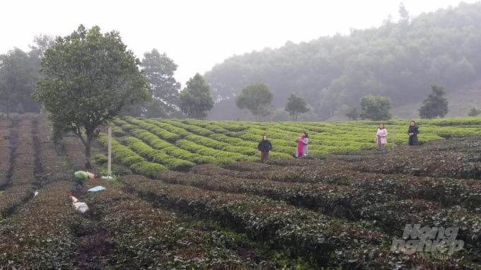 chi-dao-thi-thuc-htx-che-nhat-thuc-2-1708774459.jpeg