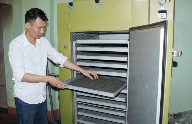 ong-nguyen-thanh-duong-giam-doc-hop-tac-xa-che-trung-du-tan-cuong-1-1708867881.jpg