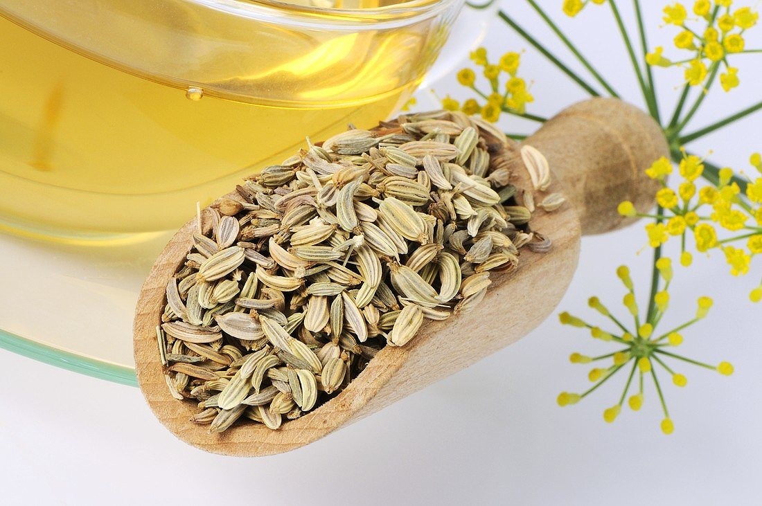 00363721-fennel-seeds-and-fennel-tea-fcf2cebd-1709608589.jpg