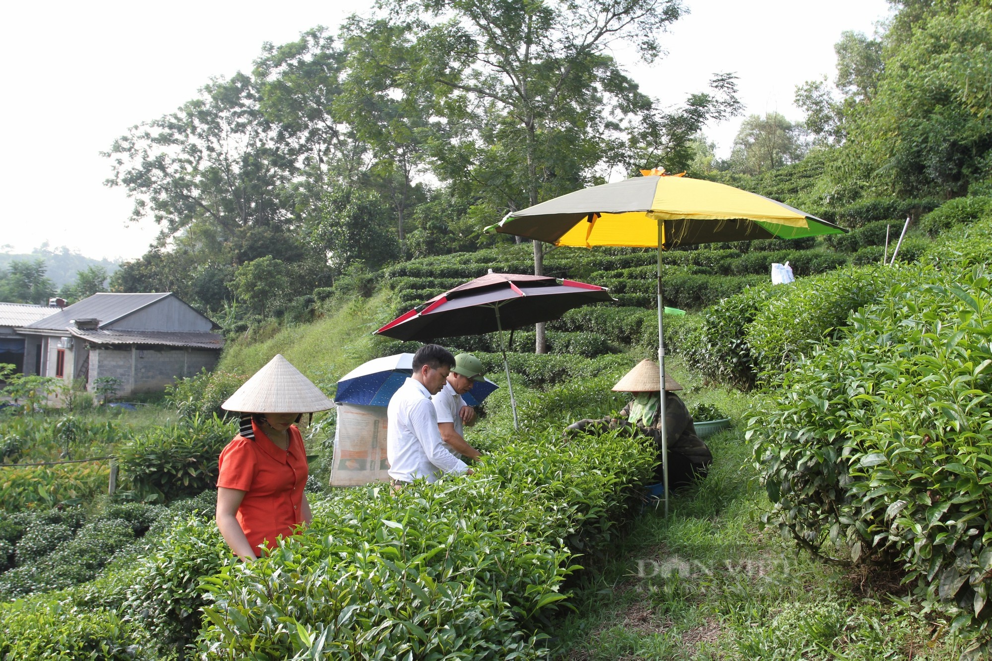 giam-doc-htx-che-an-toan-khe-coc-anh-to-van-khiem-2-1709745126.jpg