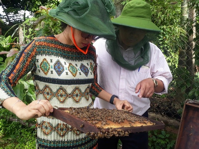 9x-doan-thi-thuy-nuoi-ong-mat-thu-ve-tien-ty-2-1709922755.jpg