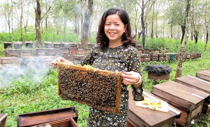 chi-tran-thi-hoang-oanh-nha-sang-lap-mat-ong-hoa-ca-phe-phuong-di-1710291975.jpg