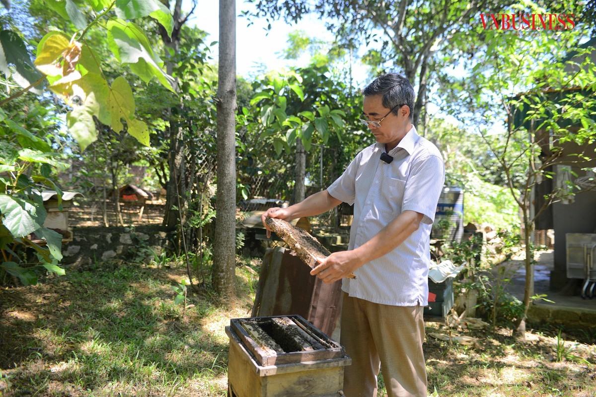 ong-bui-van-thuan-giam-doc-htx-san-xuat-va-tieu-thu-mat-ong-cuc-phuong-1710953030.jpg