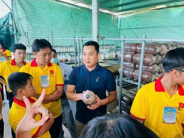9x Bùi Minh Thắng khởi nghiệp thành công với mô hình trồng nấm ngay trong thành phố, thu nhập khoảng 300 triệu đồng/tháng