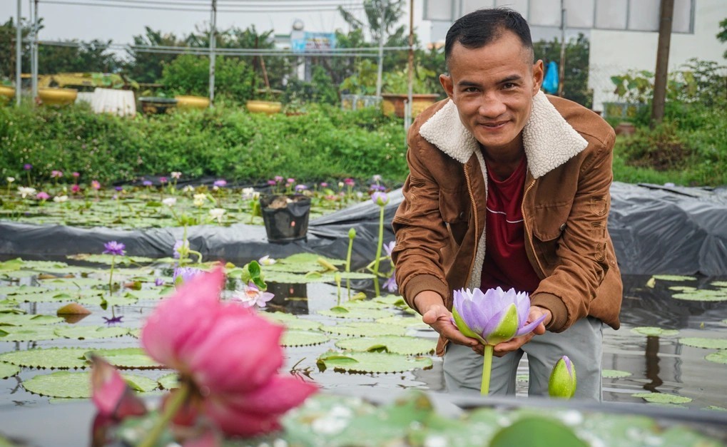 Anh Nguyễn Văn Quảng đầu tư hàng trăm triệu khởi nghiệp trồng hoa sen, hoa súng giúp "nở ra tiền" 