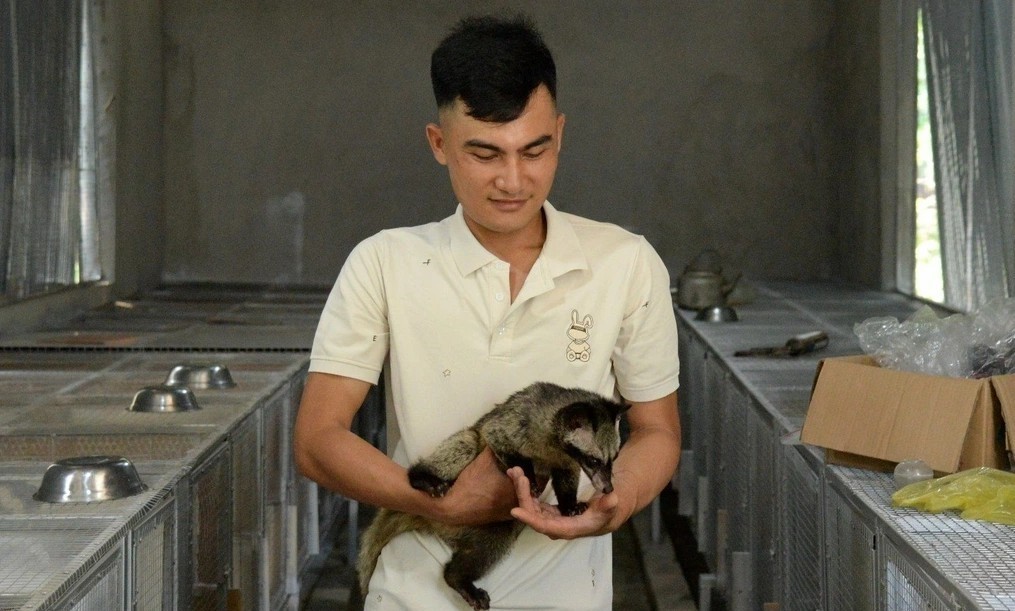 Khởi nghiệp làm trang trại nuôi chồn hương, chàng nông dân 9x Phan Hữu Sơn có thu nhập 300-400 triệu đồng/năm