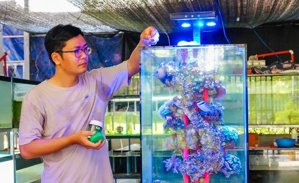 9x Nguyễn Thanh Hoàng bỏ phố về quê khởi nghiệp nuôi cá cảnh, thu nhập cao gấp 3 lần khi làm nhân viên văn phòng 