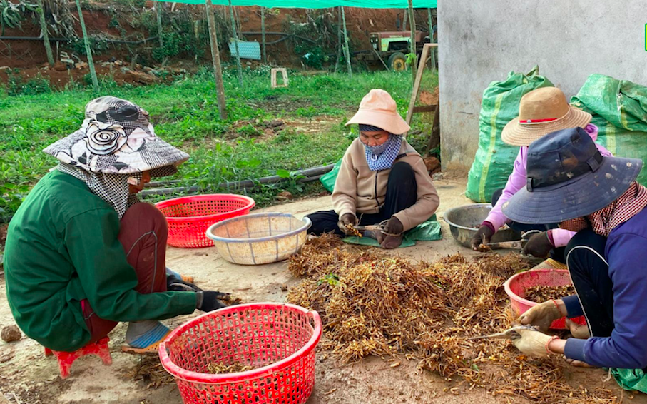 htx-duoc-lieu-an-phuc-khang-1-1718815915.png