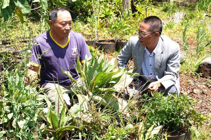 htx-duoc-lieu-an-phuc-khang-3-1718815914.jpg