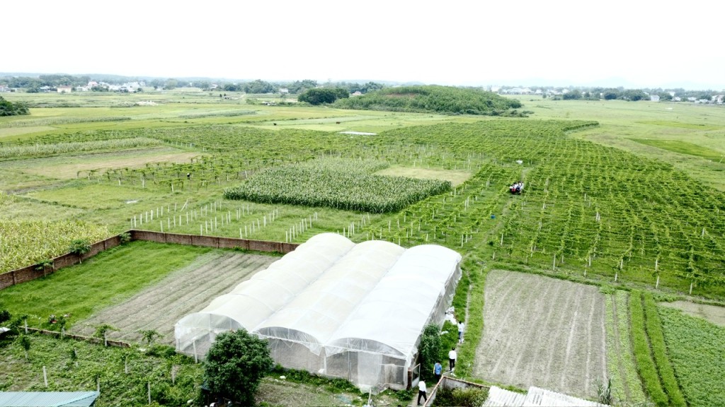 htx-truong-giang-1-1722442296.jpg