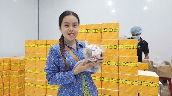 z6070462343489-69526cb2df4529bf9b898f54298f5c6b-1732600040.jpg