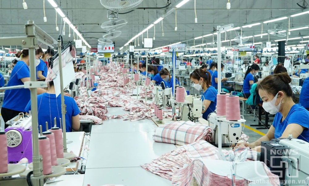 tng-thainguyen-1-20241211094015-1733973344.jpg