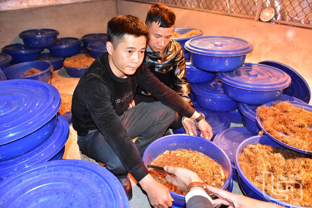 duong-dua-1-20241217085255-1734409319.jpg