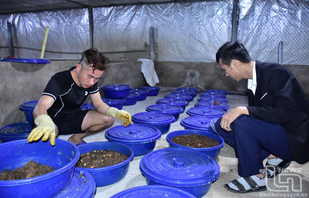duong-dua-2-20241217085315-1734409316.jpg