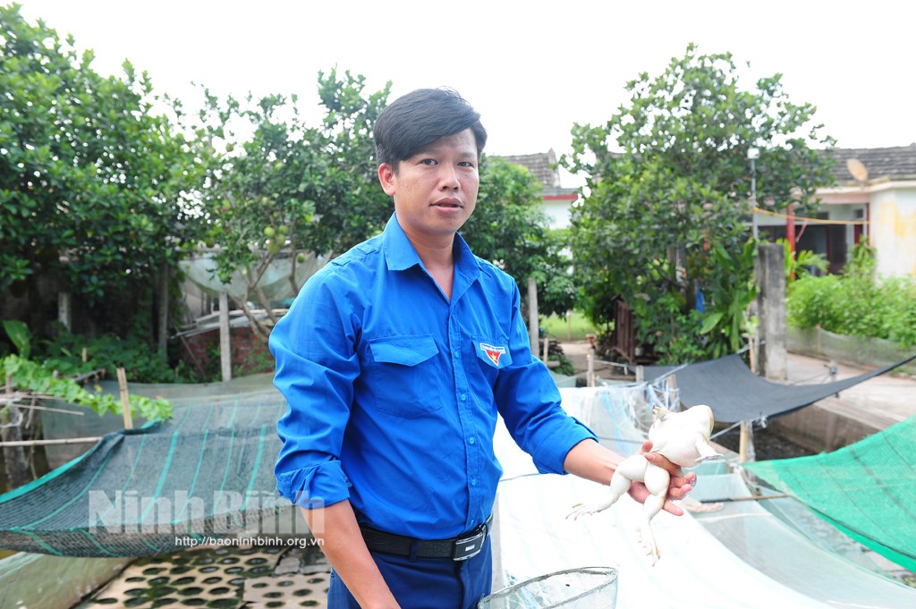 Nguồn ảnh: Báo Ninh Bình