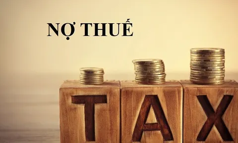 Đầu tư Xây dựng công nghiệp Nam Kim: Vốn điều lệ gần 1.000 tỷ đồng nhưng nợ thuế 119 tỷ