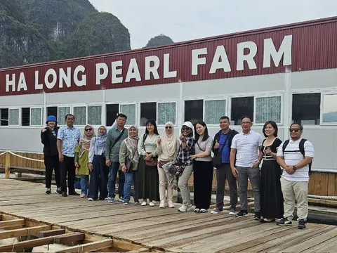 Giới thiệu làng nghề nuôi cấy ngọc trai đến với bạn bè kiểm toán quốc tế