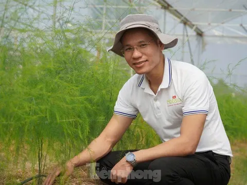 Chàng trai phát triển đam mê làm nông nghiệp sạch