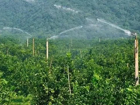 Thu hút đầu tư phát triển nông nghiệp công nghệ cao