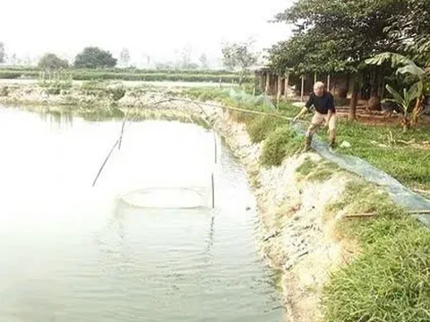 Vượt khó, làm giàu trên đồng đất quê hương