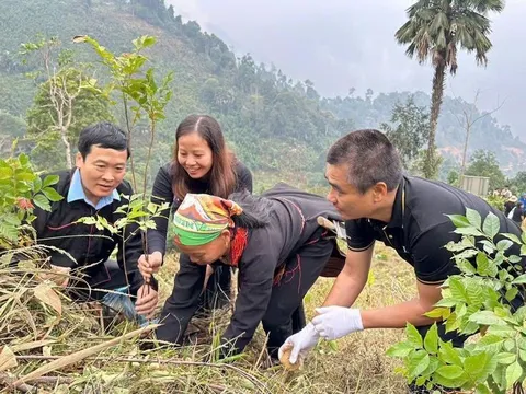 Công ty lữ hành Lux Travel DMC nhận chứng chỉ Travelife về phát triển bền vững